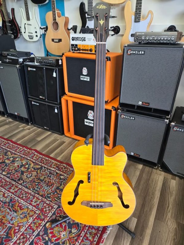 Aria Pro 2 Fretless Acoustic