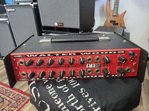 Walter Woods Electracoustic