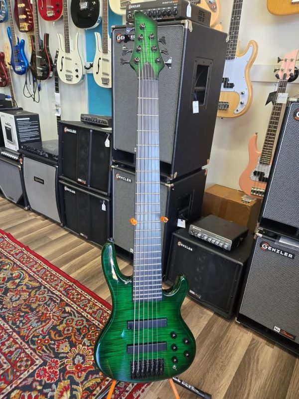 Aio Wolf 7 string bass