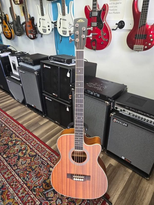 Stadium Acoustic 5 bass