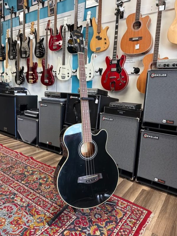 Ibanez AEB 5